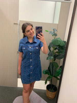 Rosetta Denim Dress