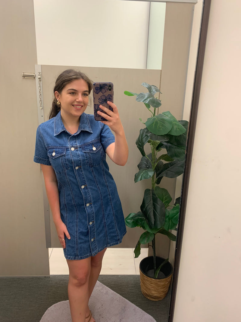 Rosetta Denim Dress