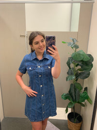 Rosetta Denim Dress