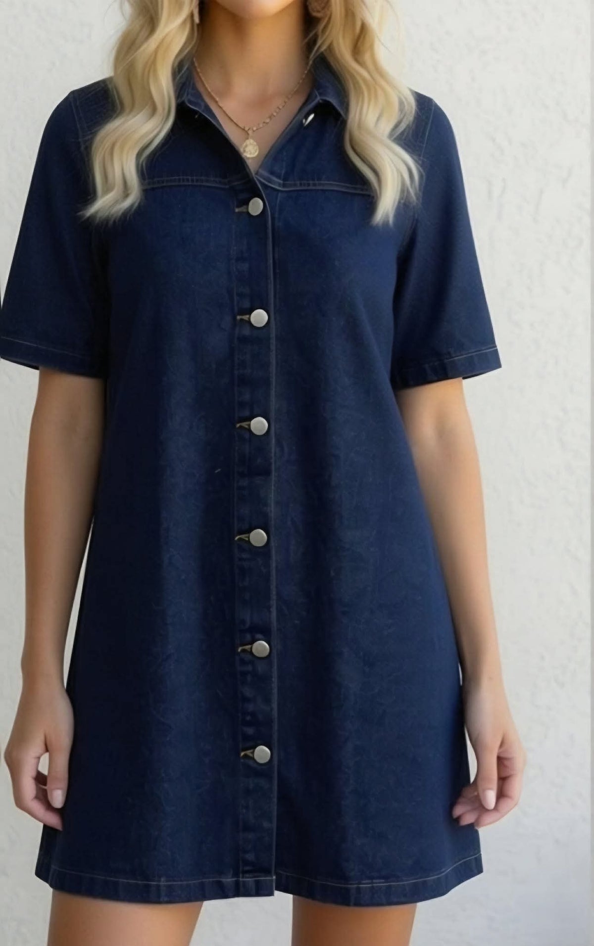 Darielle Denim Dress