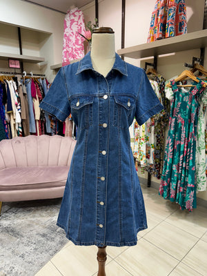 Rosetta Denim Dress