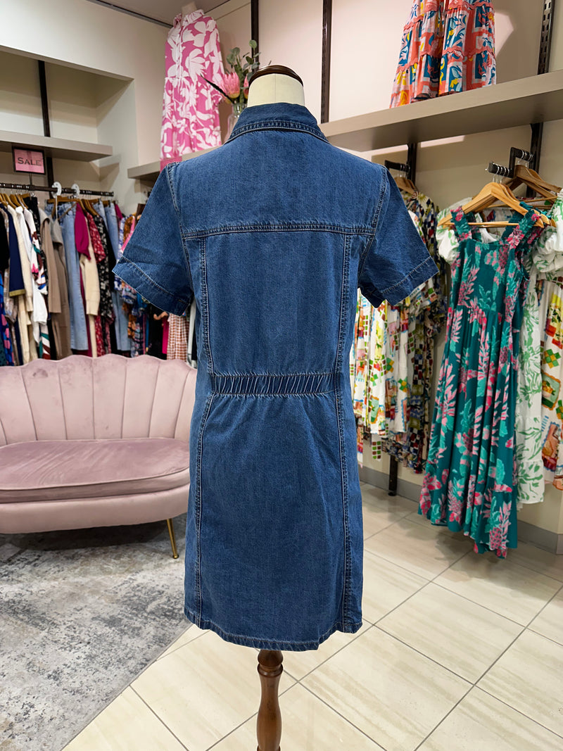 Rosetta Denim Dress